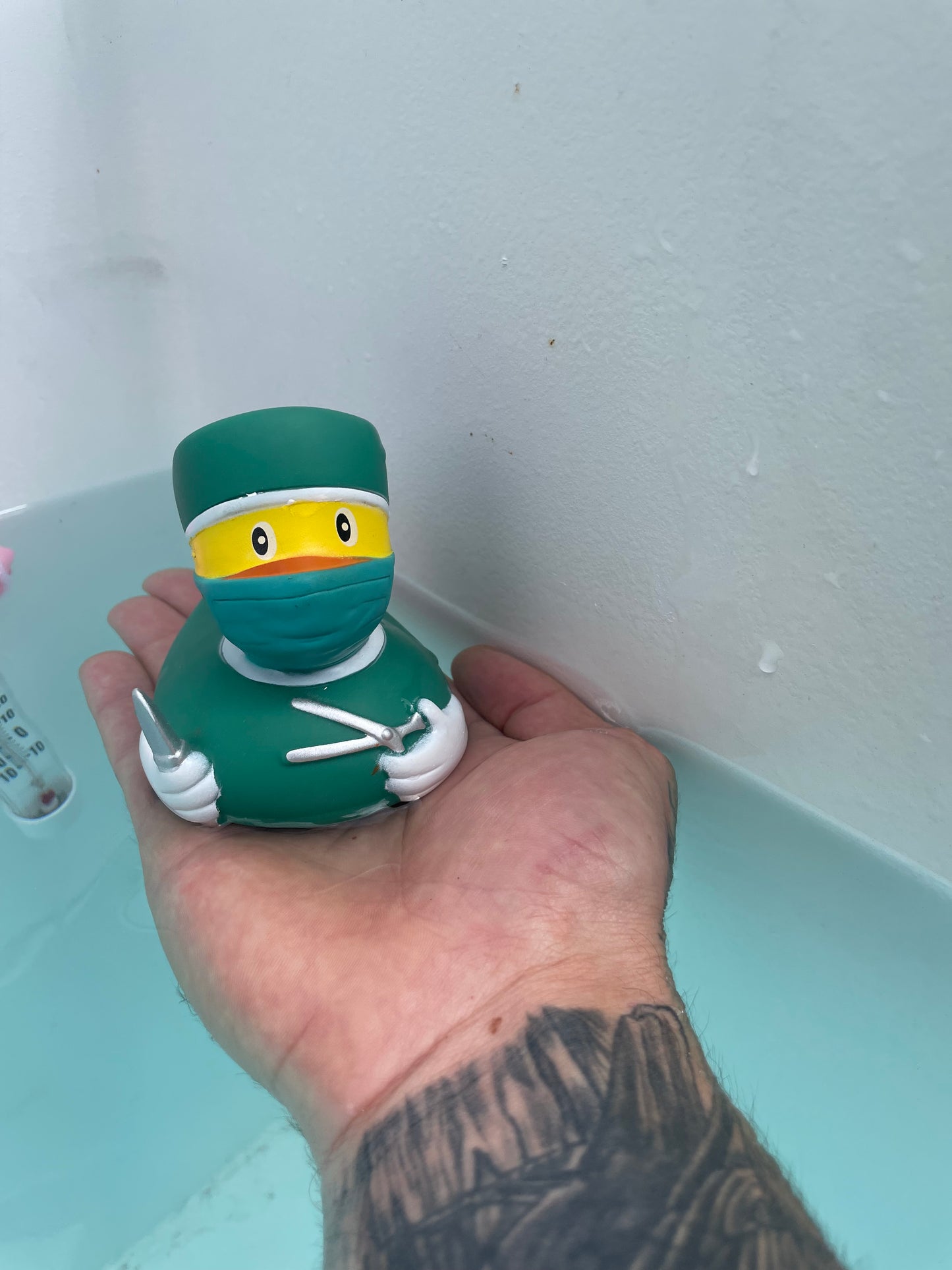 Buy A Duck