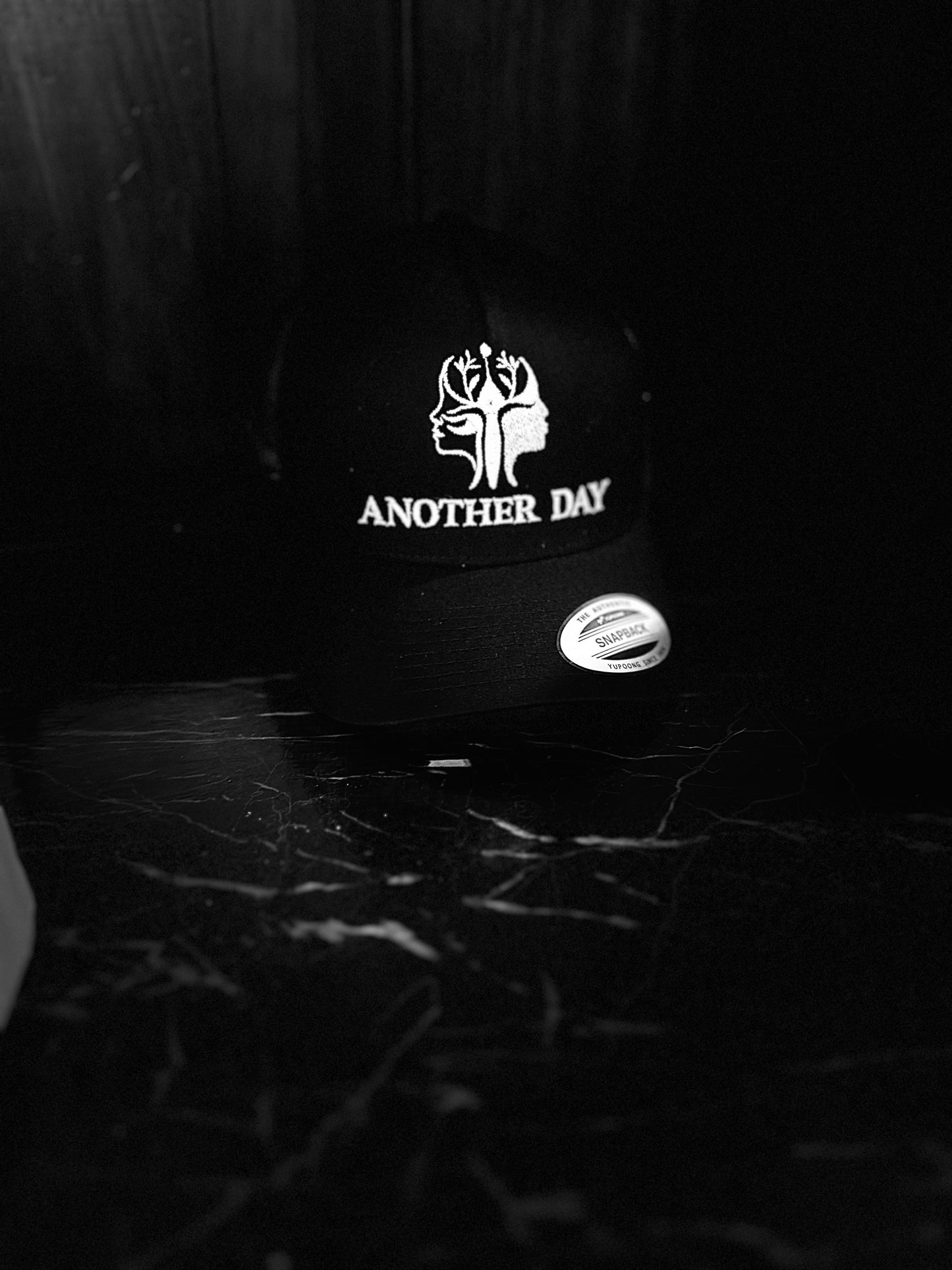 SnapBack Trucker Hats