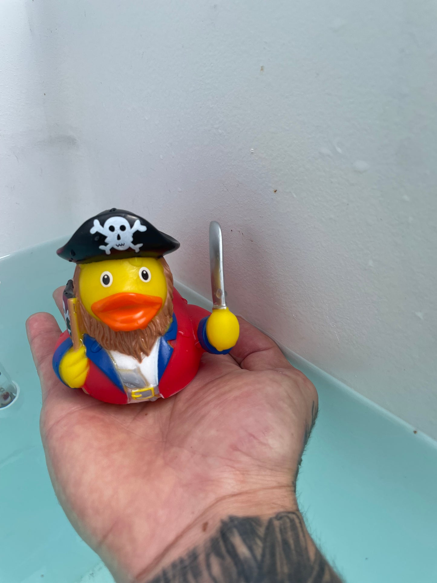 Buy A Duck