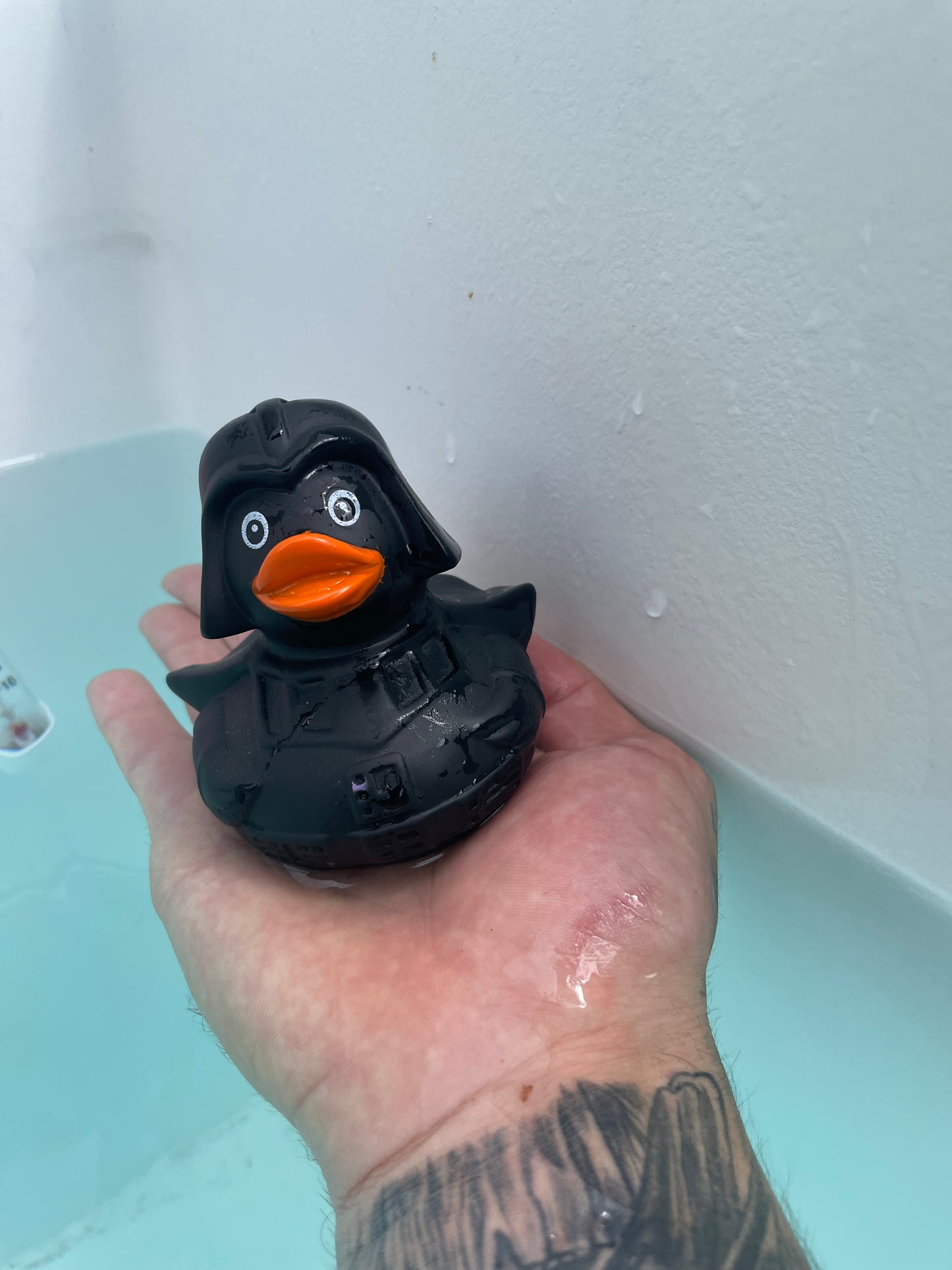 Buy A Duck