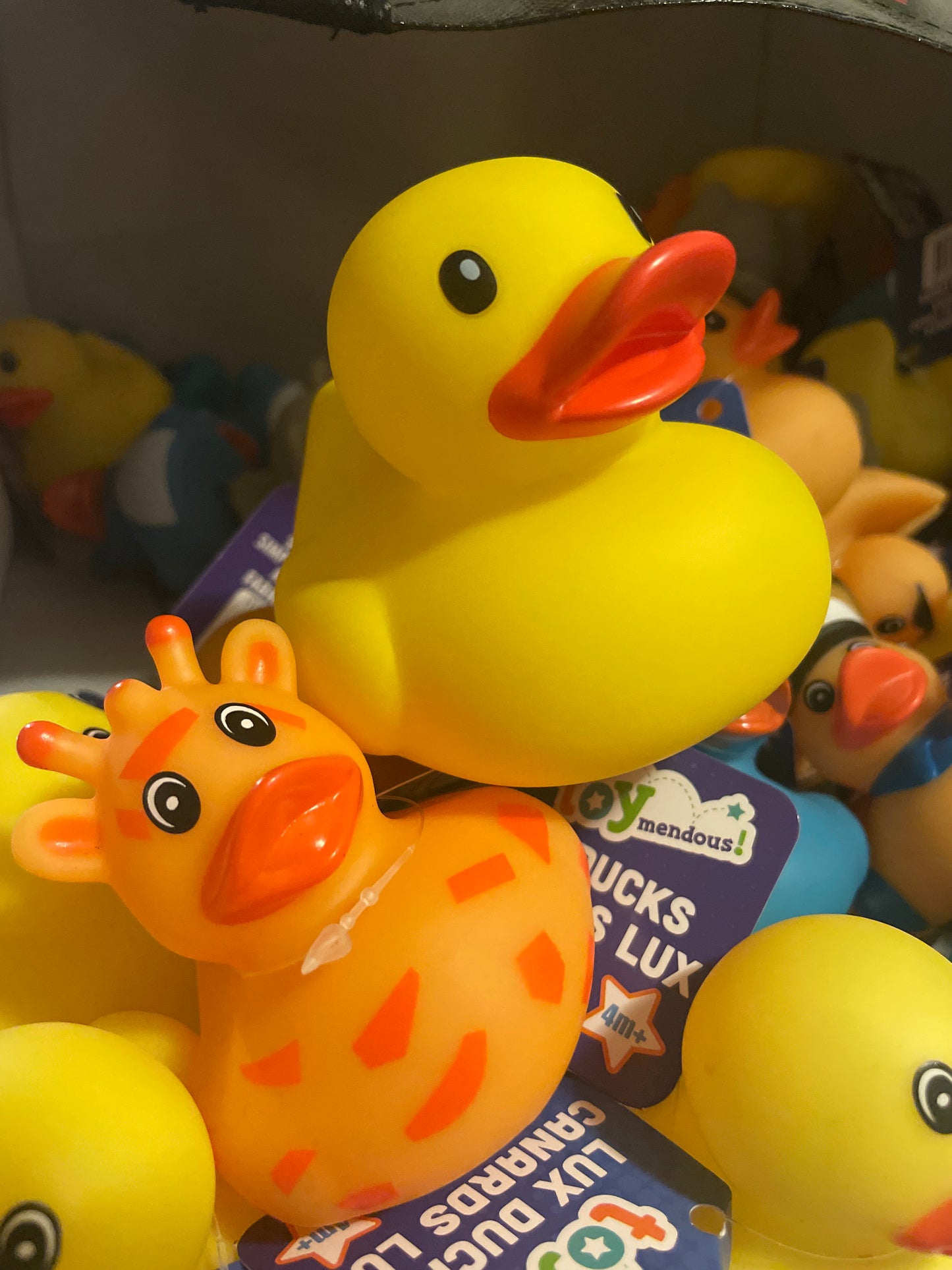 Buy A Duck