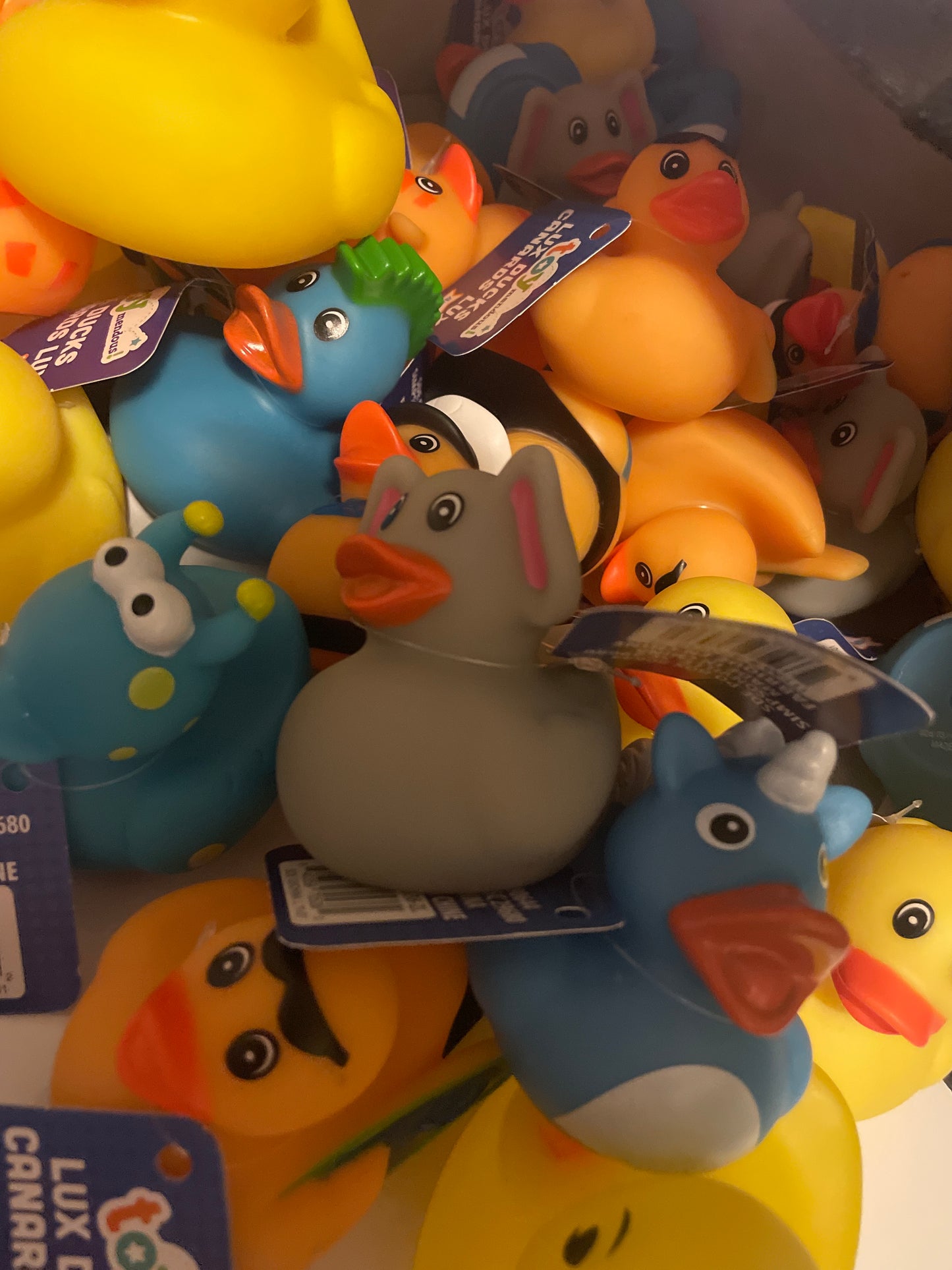 Buy A Duck